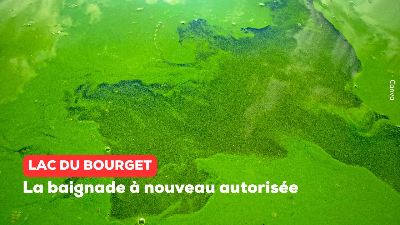 ViviersduLac Lac du Bourget la baignade à nouveau autorisée — free download